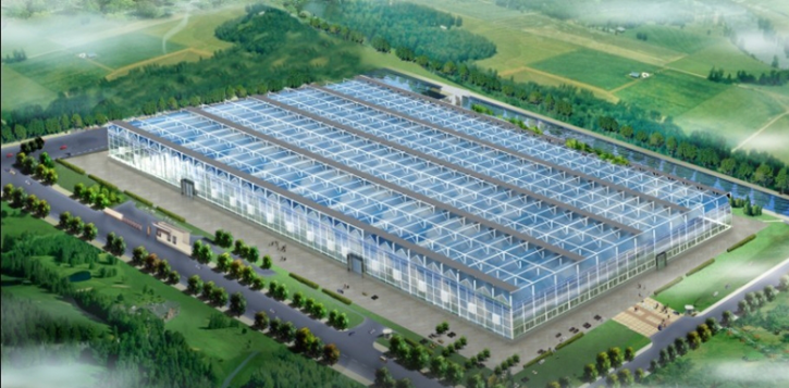 Gusite's Main Products Plastic film arched greenhouse